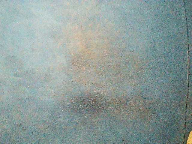 Preview of triciabella