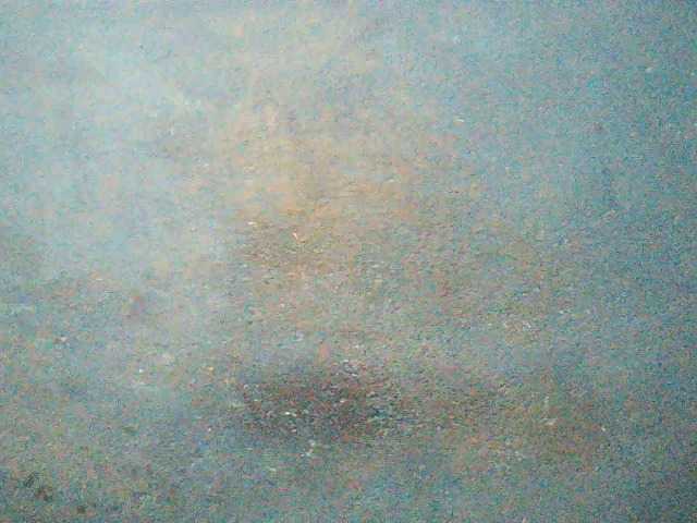 TriciaBella's BongaCams show and profile