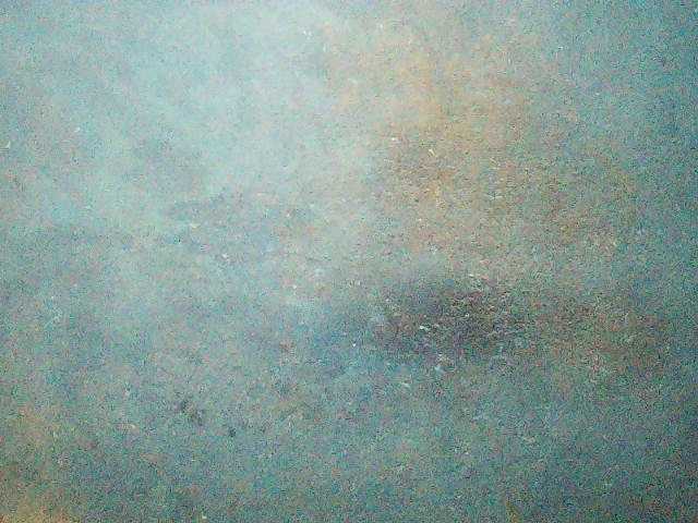 TriciaBella's BongaCams show and profile