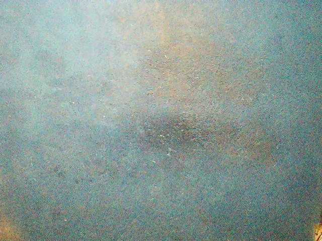 TriciaBella live cam profile