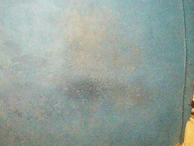 Preview of triciabella