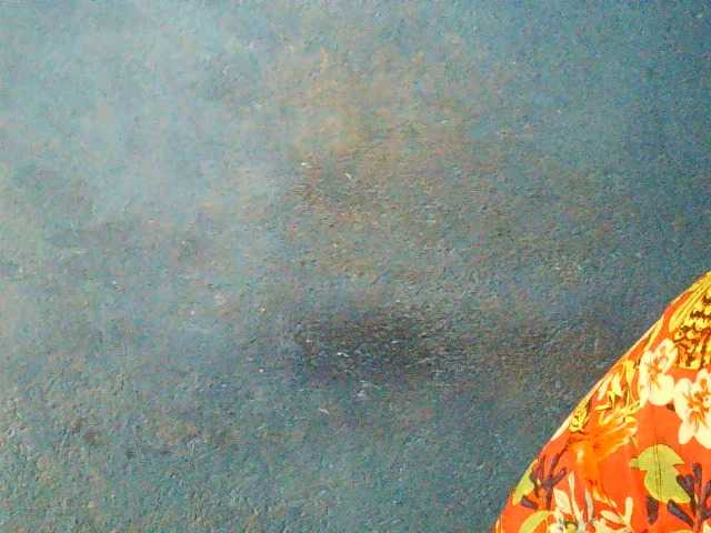 Preview of triciabella