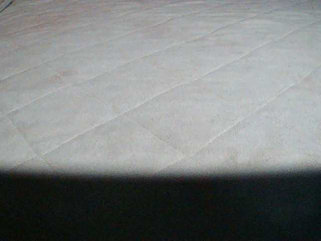 Preview of triciabella