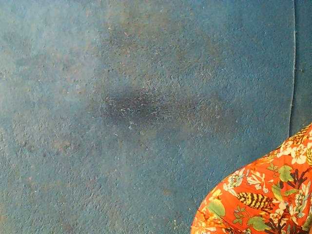 Preview of triciabella