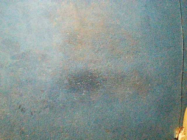 TriciaBella's BongaCams show and profile