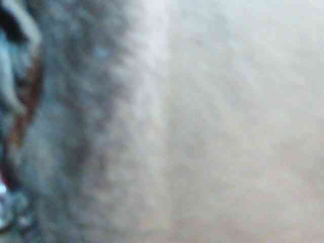 TriciaBella webcam