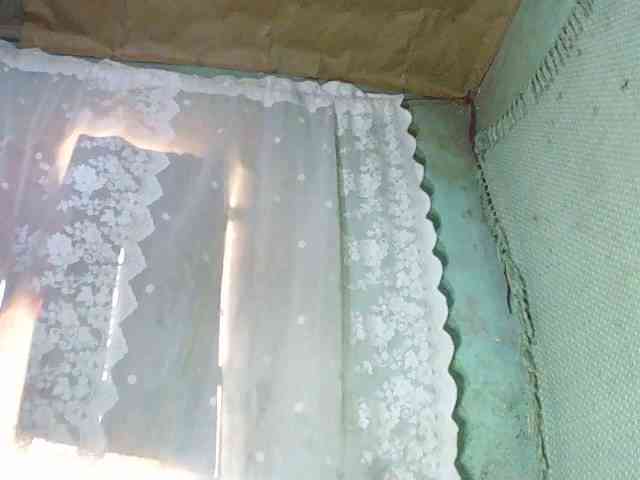 TriciaBella TriciaBella