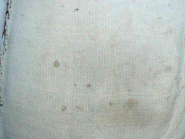 TriciaBella TriciaBella