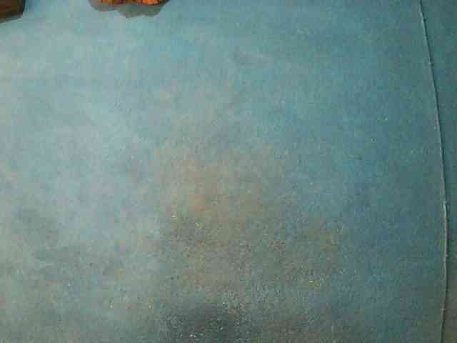 TriciaBella TriciaBella