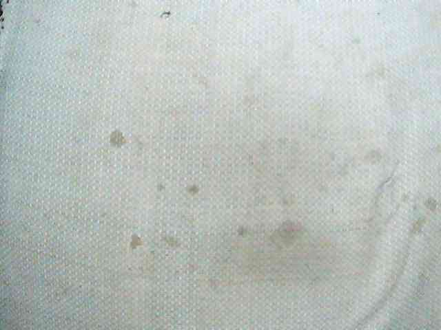 TriciaBella TriciaBella