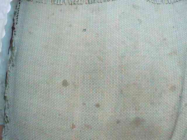 TriciaBella TriciaBella