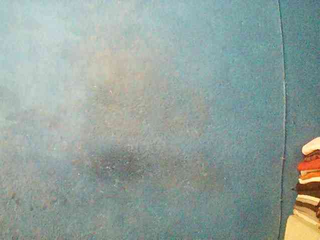 TriciaBella TriciaBella