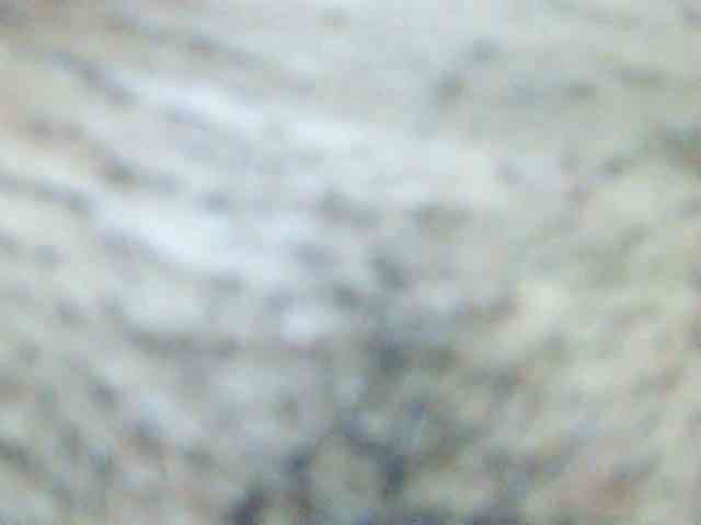 TriciaBella webcam