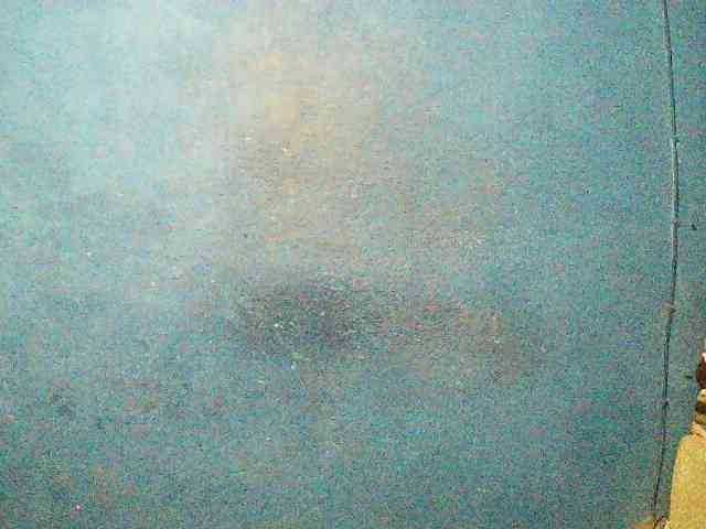 TriciaBella TriciaBella