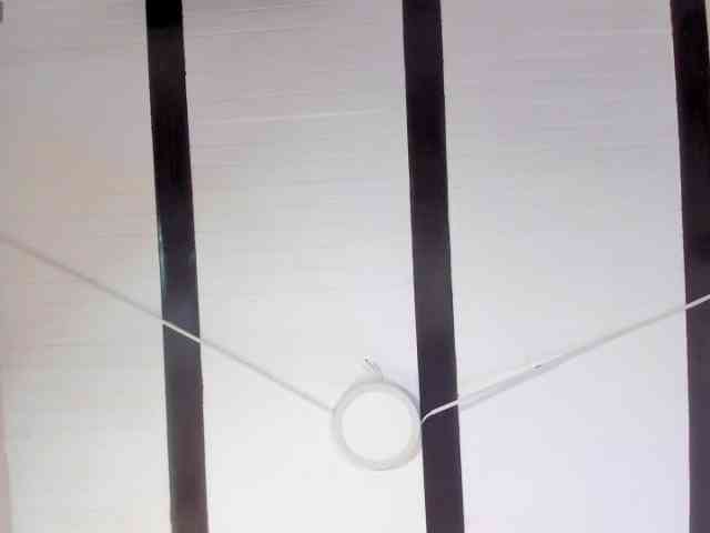 Candaceowens Candaceowens