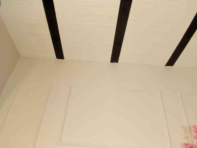 Candaceowens webcam