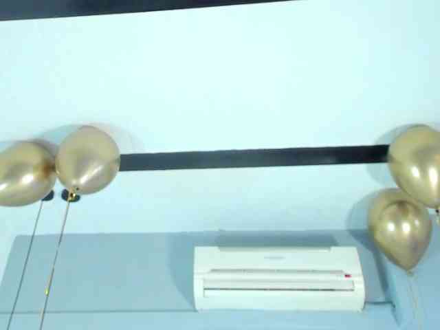 Candaceowens webcam