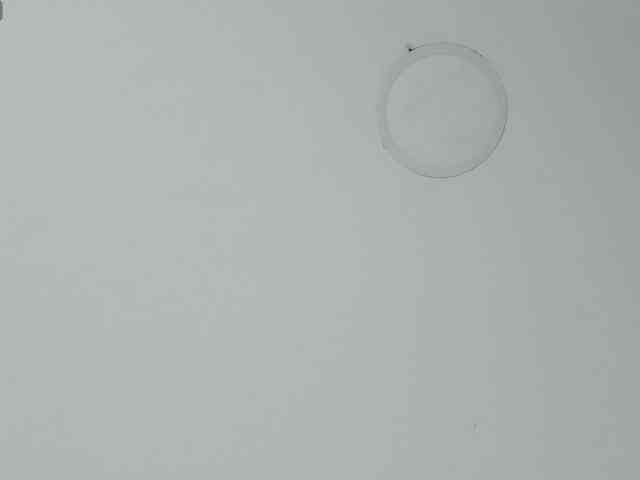 Candaceowens webcam