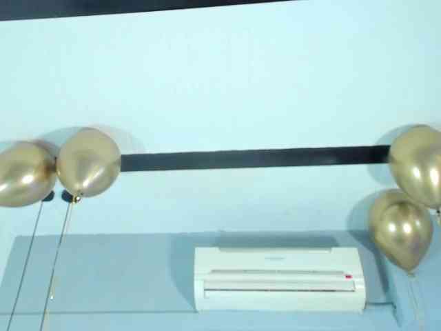 Candaceowens webcam