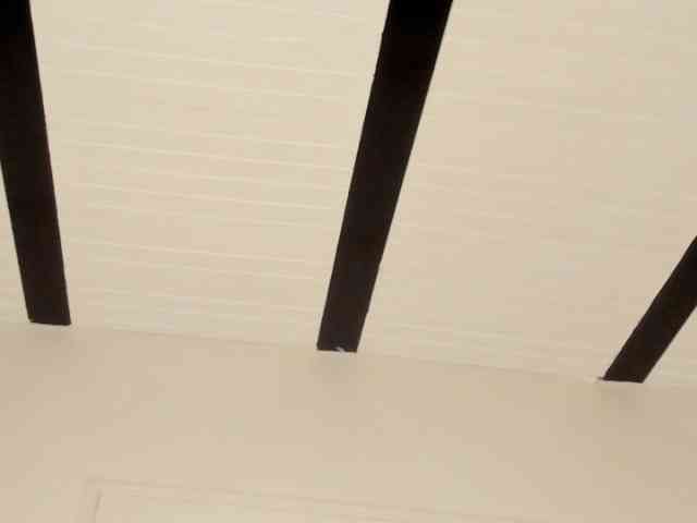 Candaceowens webcam