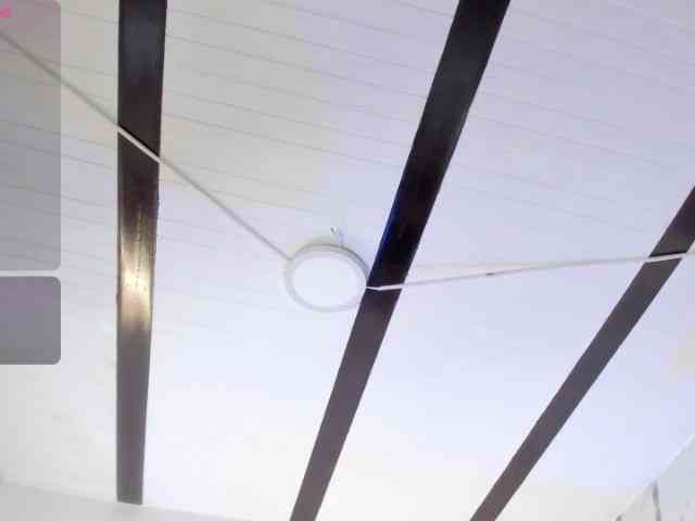 Candaceowens Candaceowens