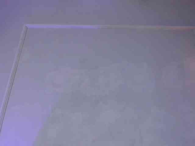 Candaceowens webcam