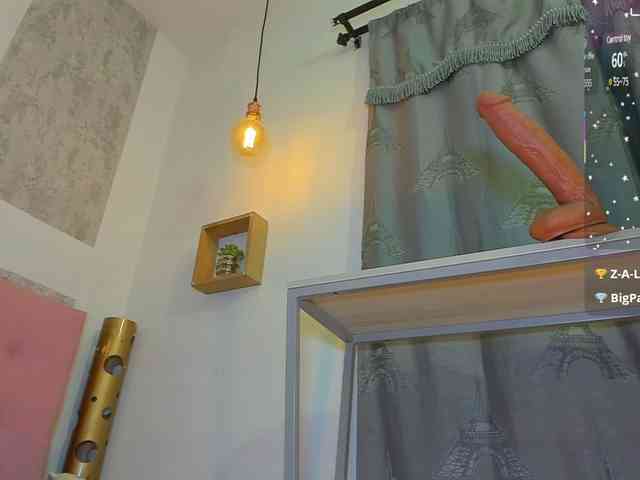 zhamira21 webcam