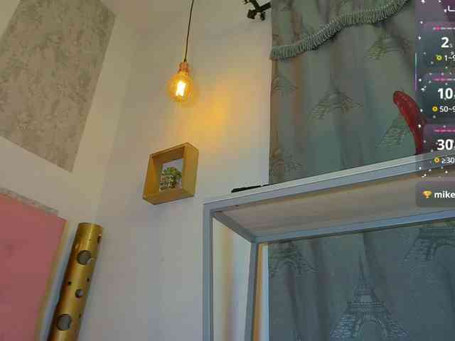 zhamira21 webcam