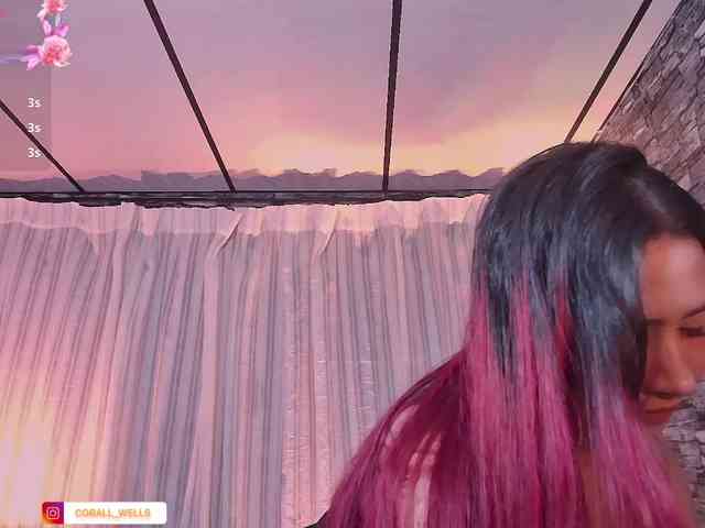 coralwells webcam