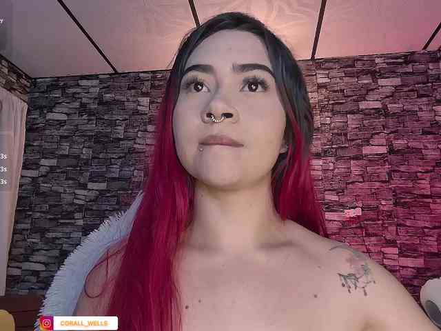coralwells webcam