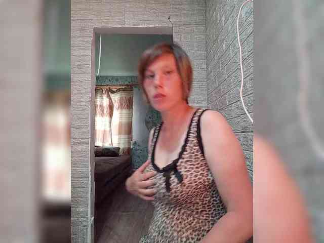 Модель: Dmeesk