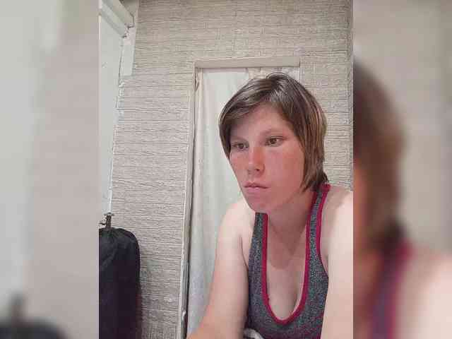 Dmeesk webcam