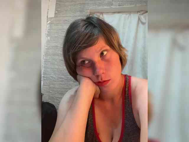 Dmeesk webcam