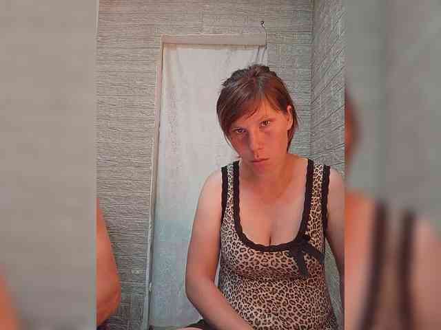 Dmeesk webcam