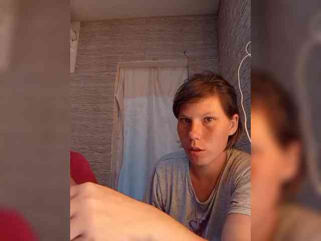 Dmeesk webcam