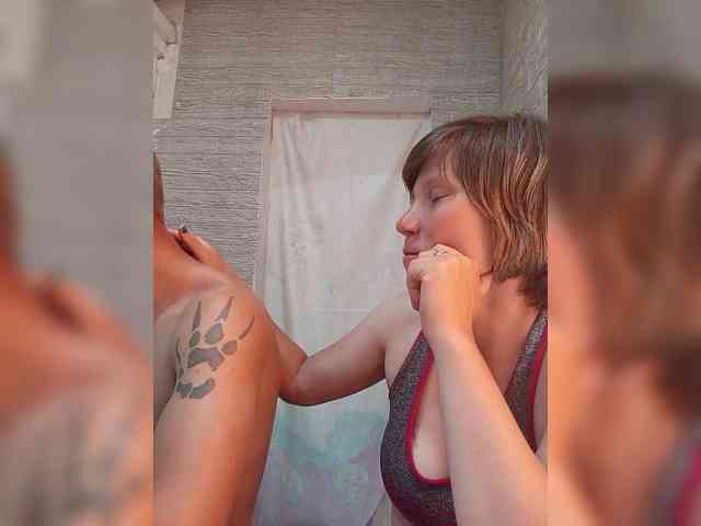 Dmeesk webcam