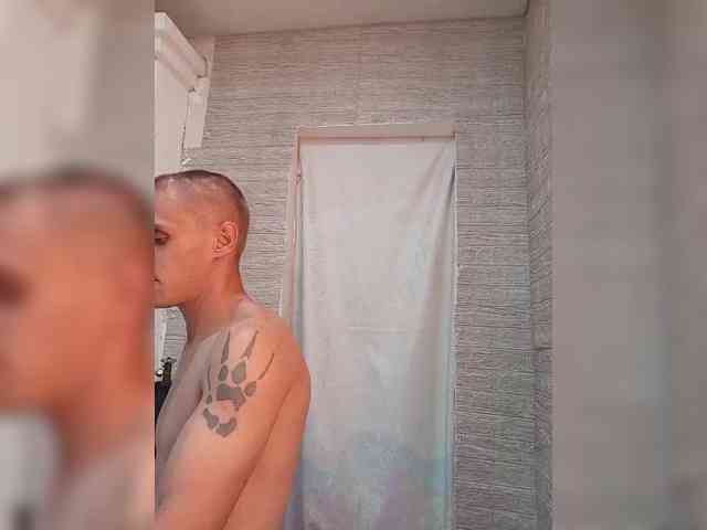 Dmeesk webcam