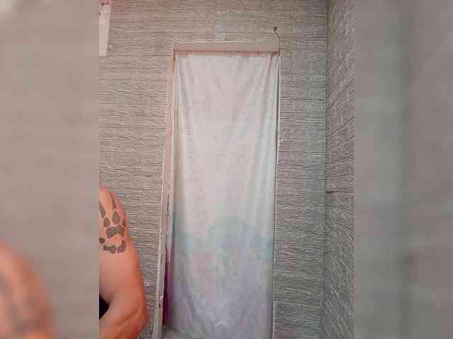 Dmeesk webcam