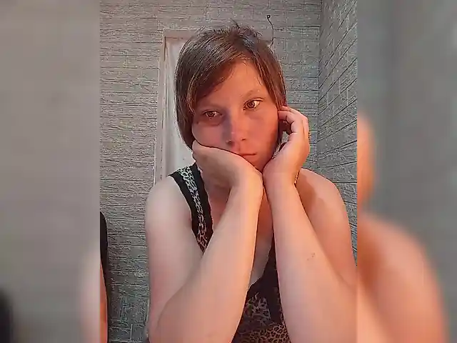 Dmeesk