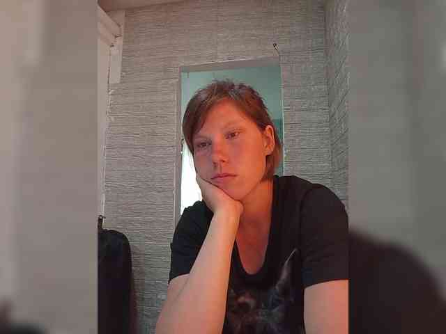 Dmeesk webcam