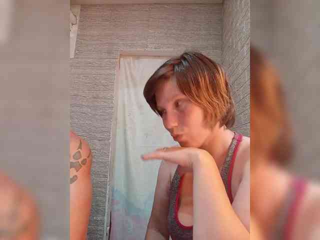 Dmeesk webcam