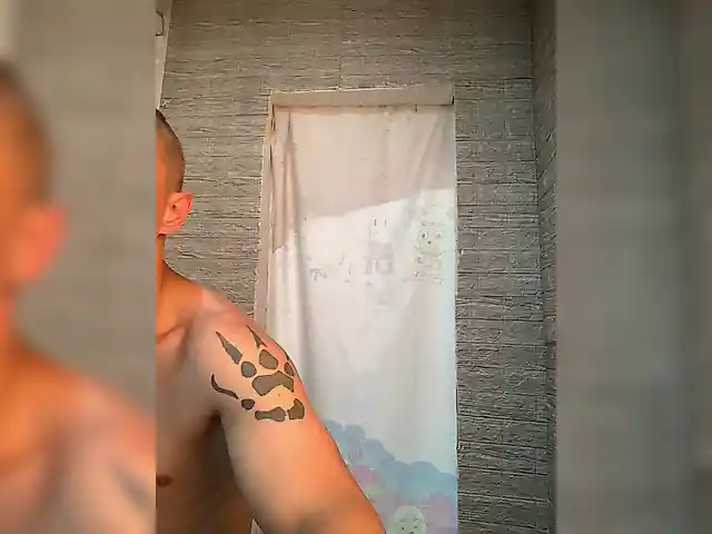 Dmeesk