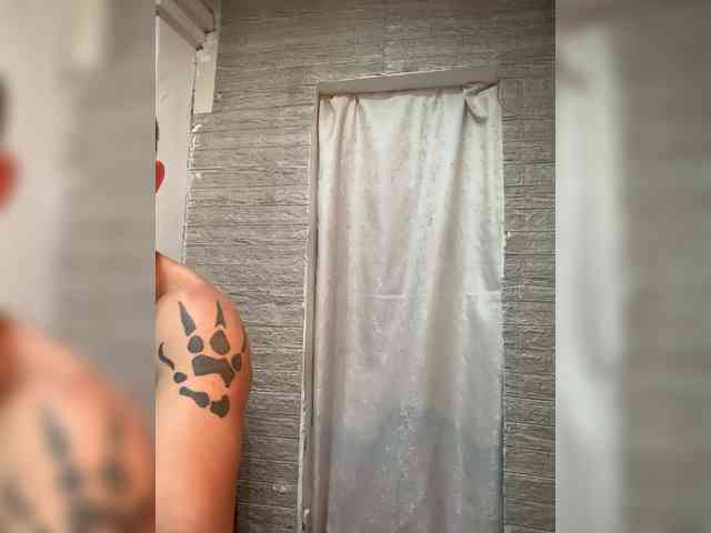 Dmeesk webcam