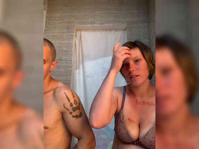 Dmeesk webcam