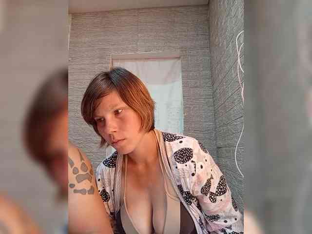 Dmeesk webcam
