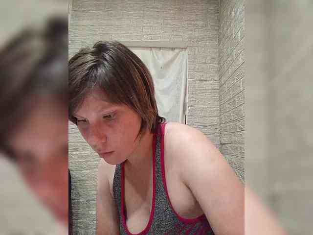 Dmeesk webcam