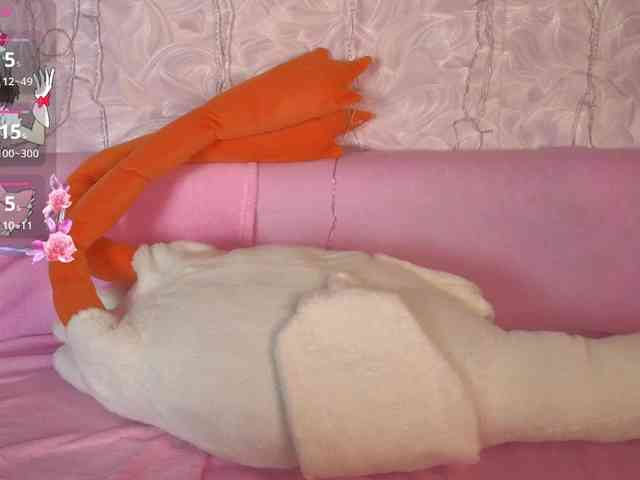 Olivisan webcam