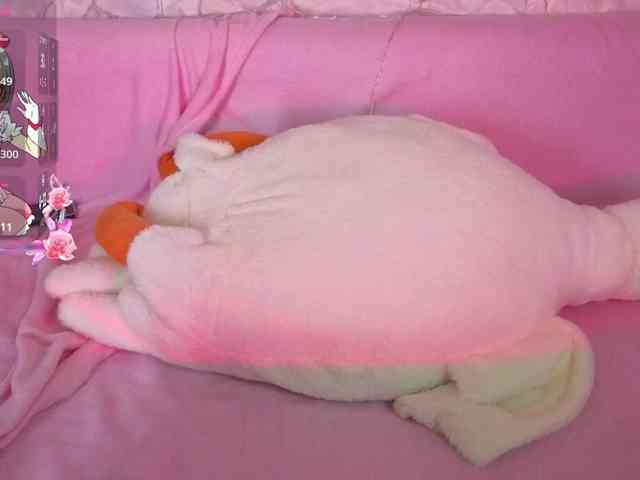 Olivisan webcam