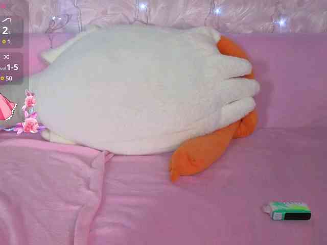 Olivisan webcam