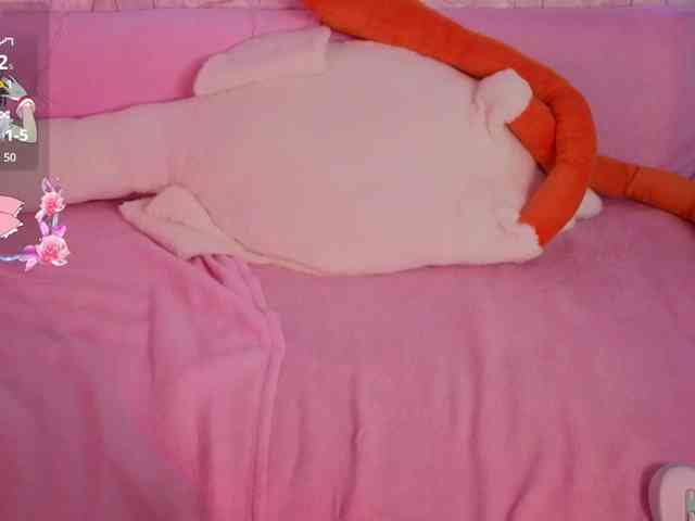 Olivisan webcam
